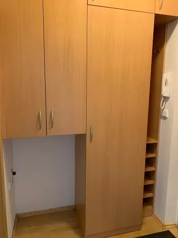 Pronájem bytu 1+1, Brno, Lučiny, 30 m2