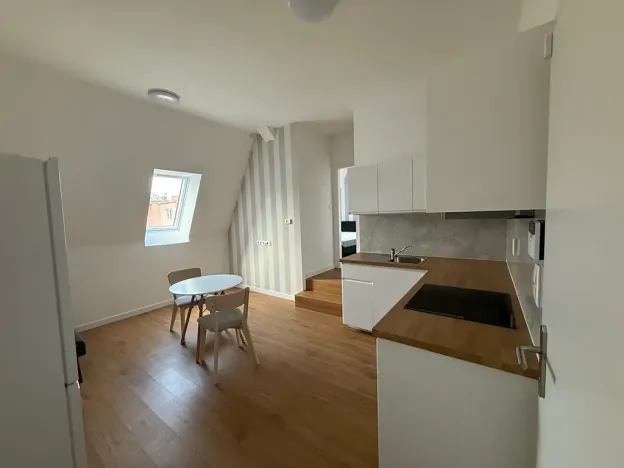 Pronájem bytu 1+kk, Ústí nad Labem, 20 m2