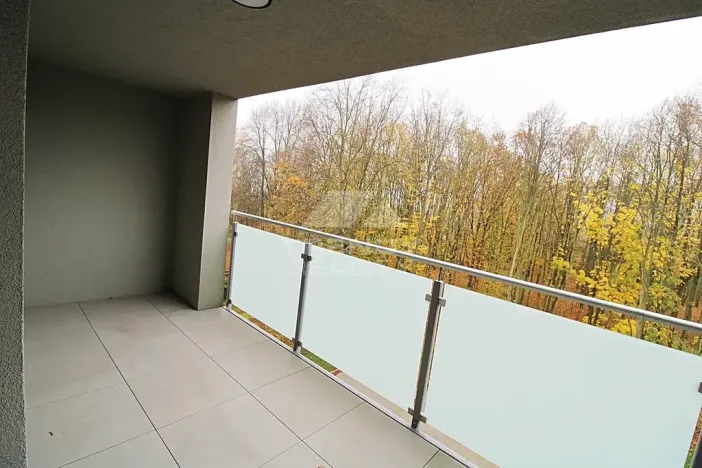 Pronájem bytu 2+kk, Plzeň, Heyrovského, 56 m2