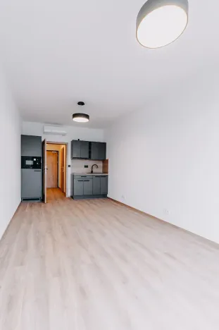 Pronájem apartmánu, Brno, Čechyňská, 40 m2