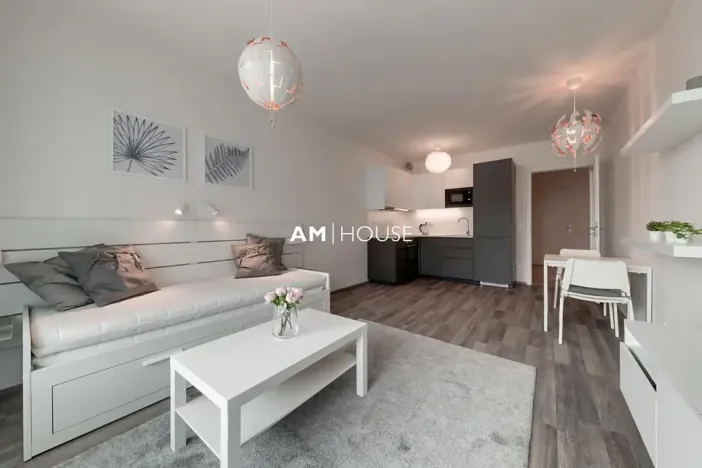 Pronájem bytu 1+kk, Praha - Strašnice, Zvěřinova, 37 m2