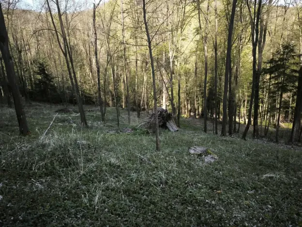 Prodej podílu lesa, Zděchov, 5288 m2