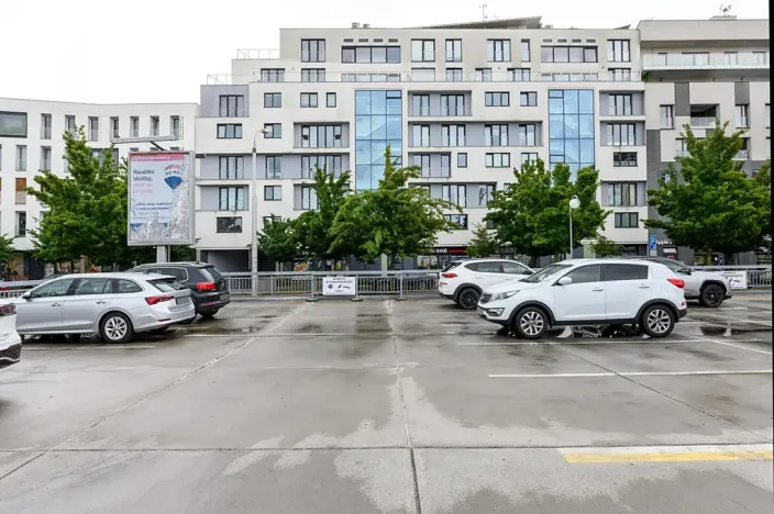Pronájem obchodního prostoru, Plzeň, Otýlie Beníškové, 274 m2