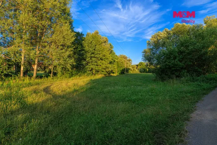 Prodej louky, Horní Bříza, 4590 m2