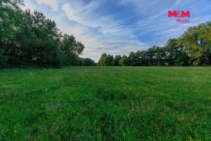 Prodej louky, Horní Bříza, 4590 m2