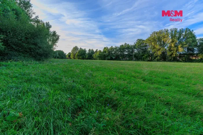 Prodej louky, Horní Bříza, 4590 m2