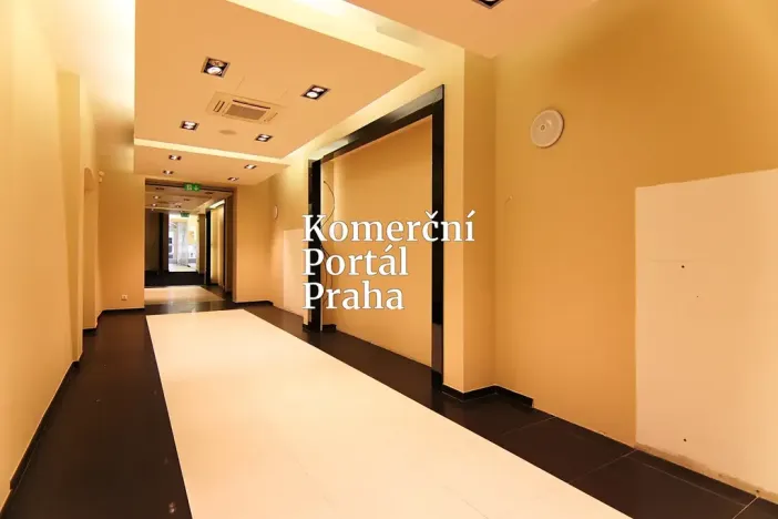 Pronájem restaurace, Praha - Nové Město, Václavské náměstí, 309 m2