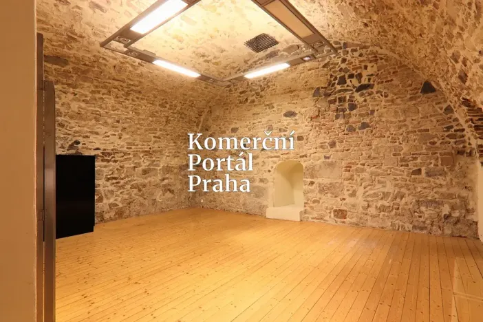 Pronájem restaurace, Praha - Nové Město, Václavské náměstí, 309 m2