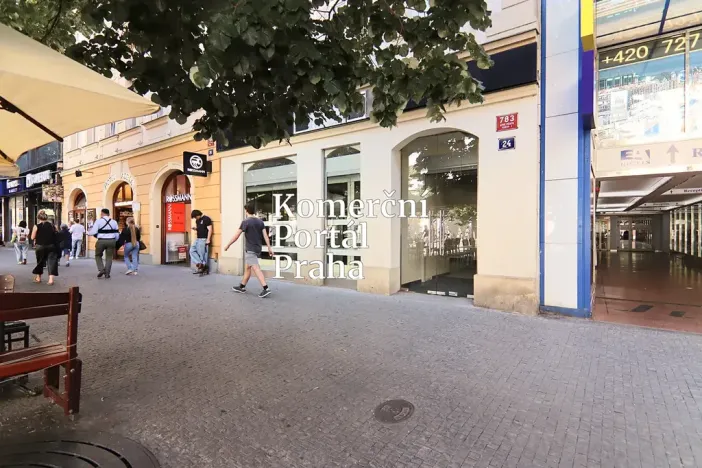 Pronájem restaurace, Praha - Nové Město, Václavské náměstí, 309 m2