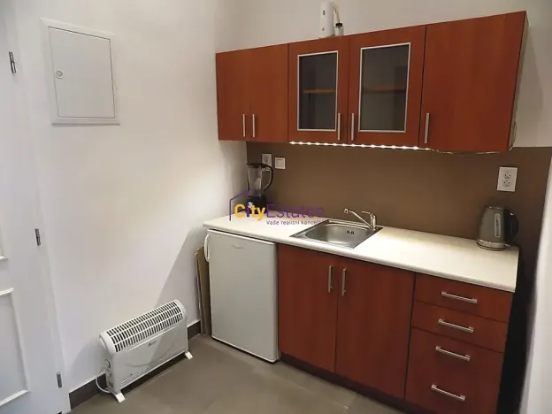 Pronájem bytu 1+kk, Praha - Žižkov, Vlkova, 26 m2