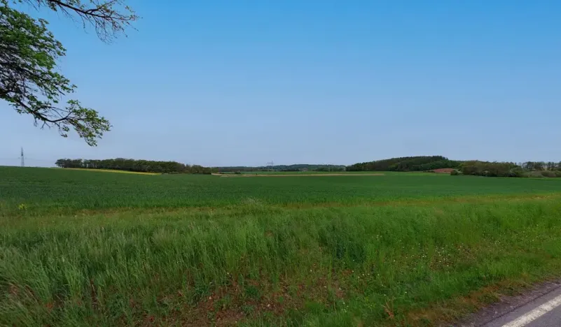 Prodej pole, Očelice, 10689 m2
