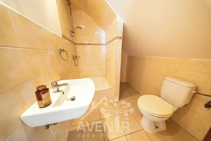 Prodej vícegeneračního domu, Liberec, Hradební, 145 m2
