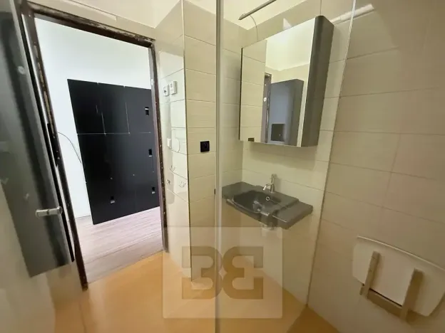 Pronájem bytu 2+kk, Praha - Nusle, Svatoslavova, 51 m2