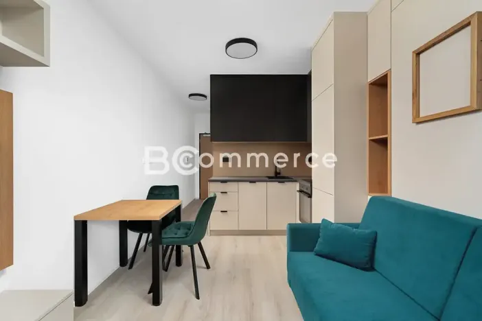 Pronájem bytu 1+kk, Brno, Dornych, 27 m2