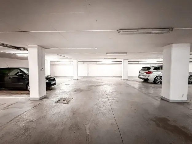Pronájem bytu 4+kk, Praha - Žižkov, V kapslovně, 101 m2