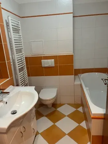 Pronájem bytu 1+kk, České Budějovice, Riegrova, 32 m2