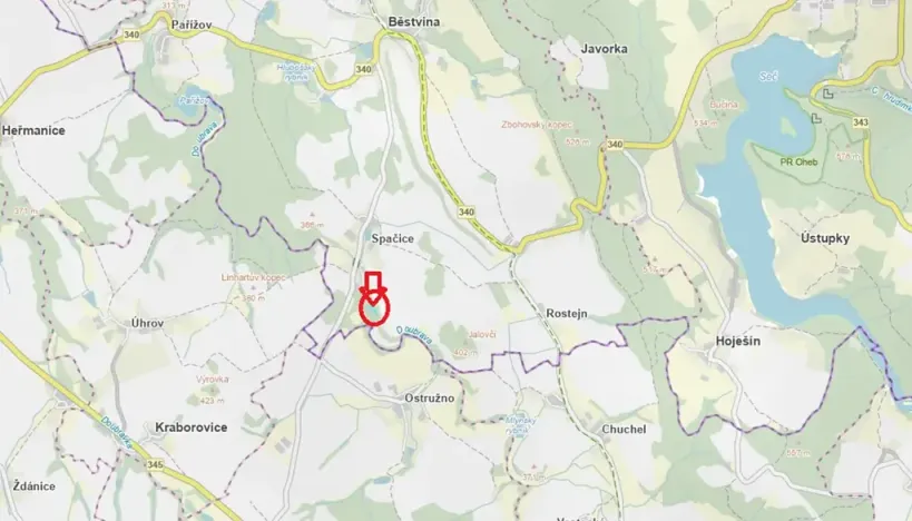 Prodej lesa, Běstvina, 1370 m2