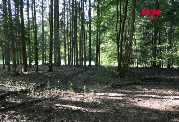 Prodej lesa, Chyňava - Lhotka u Berouna, 7138 m2