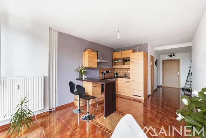 Prodej bytu 2+kk, Plzeň, Klatovská, 43 m2