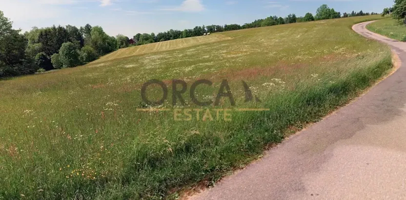 Prodej louky, Liberk, 12372 m2