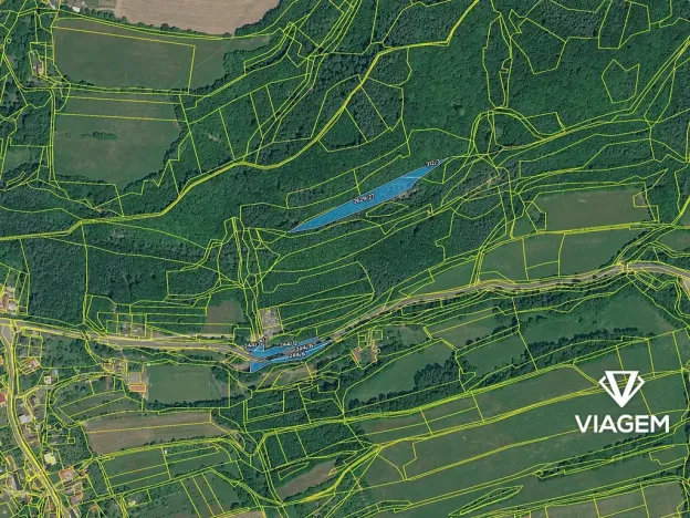 Prodej lesa, Bratřejov, 4108 m2