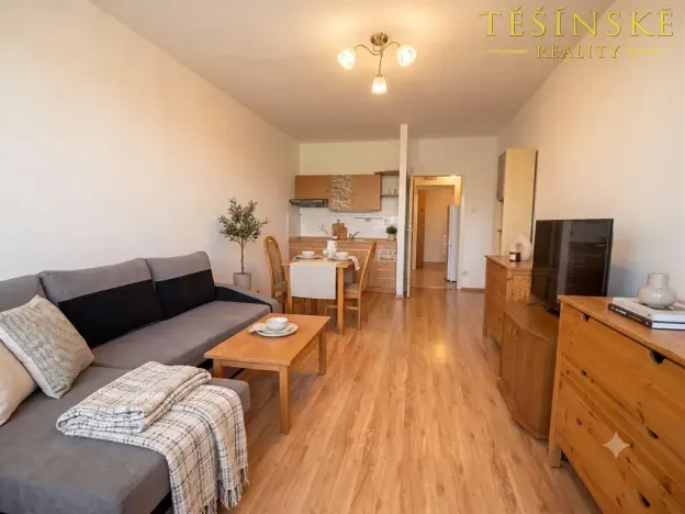 Prodej bytu 1+kk, Český Těšín, Slezská, 29 m2