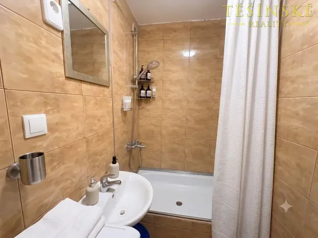 Prodej bytu 1+kk, Český Těšín, Slezská, 29 m2
