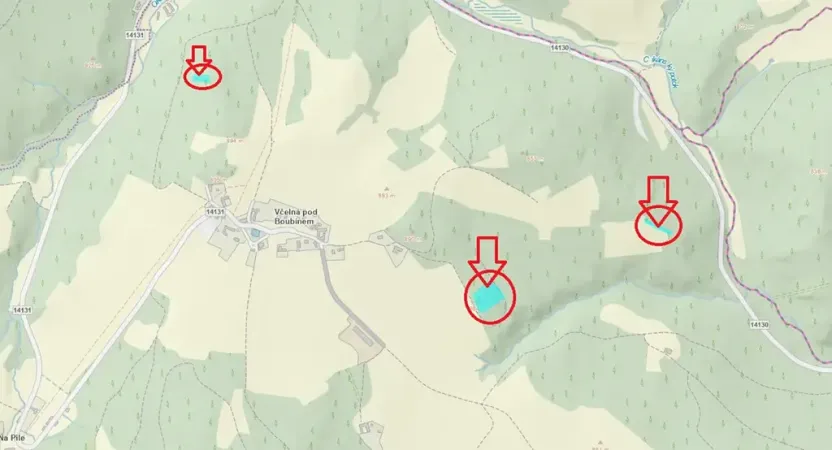 Prodej lesa, Buk, 8674 m2