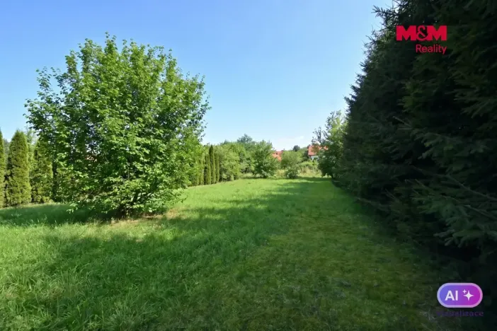 Prodej louky, Chřenovice, 990 m2