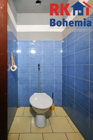Prodej rodinného domu, Kolín, Veltrubská, 411 m2