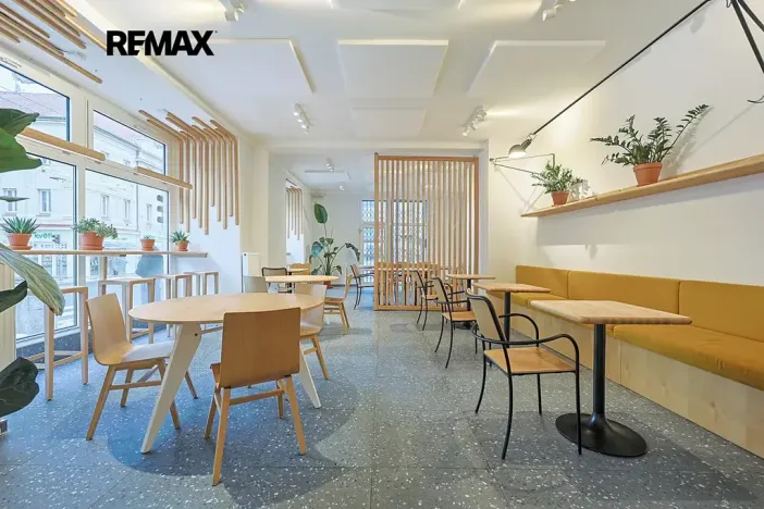 Pronájem obchodního prostoru, Plzeň, Škroupova, 210 m2