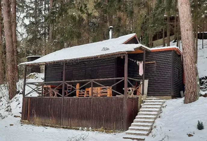 Dražba chaty, Petroupim, 38 m2