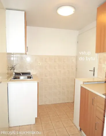 Pronájem bytu 1+kk, Brno, Mendlovo náměstí, 22 m2