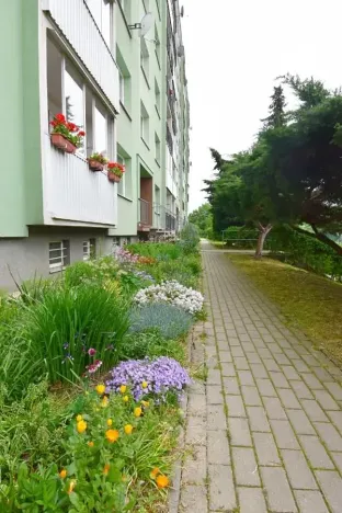 Pronájem bytu 1+1, Chomutov, Dřínovská, 35 m2