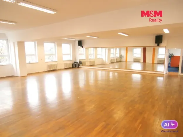 Pronájem obchodního prostoru, Ostrava - Mariánské Hory, Karasova, 335 m2