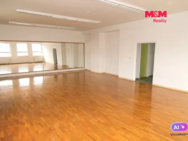 Pronájem obchodního prostoru, Ostrava - Mariánské Hory, Karasova, 335 m2