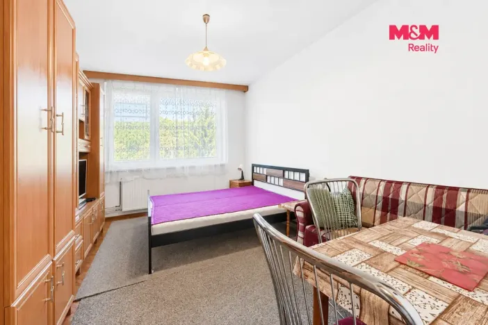Pronájem bytu 1+1, Zlín, Družstevní, 20 m2