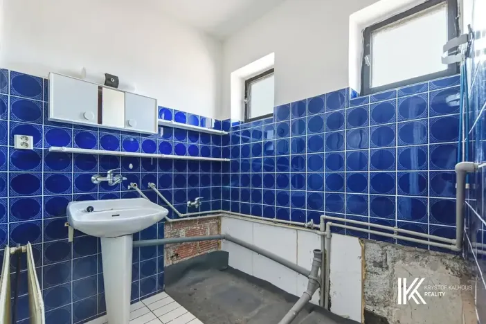 Prodej vícegeneračního domu, Chrudim, Čáslavská, 227 m2
