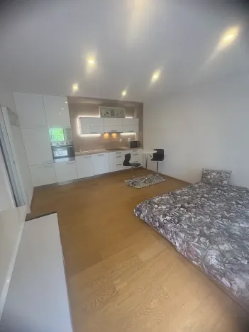 Pronájem bytu 1+kk, Praha - Břevnov, Nad Závěrkou, 35 m2