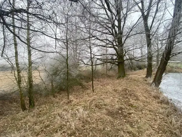 Dražba pole, Slatina, 13059 m2