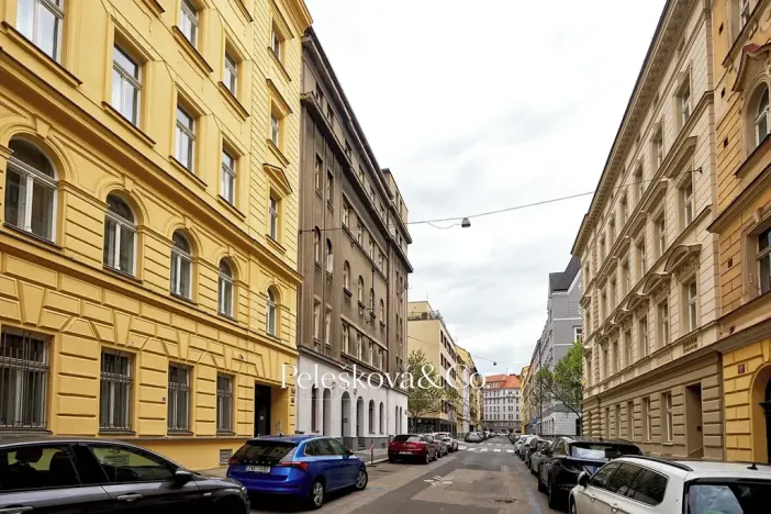Pronájem bytu 4+kk, Praha - Bubeneč, Havanská, 177 m2