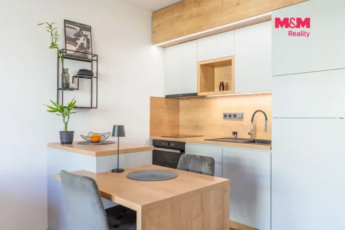 Prodej bytu 1+kk, Prostějov - Čechovice, Na Lukách, 32 m2