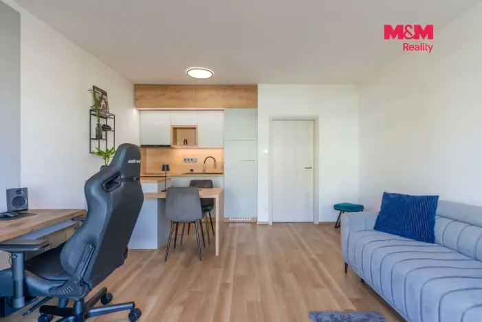 Prodej bytu 1+kk, Prostějov - Čechovice, Na Lukách, 32 m2