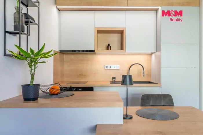 Prodej bytu 1+kk, Prostějov - Čechovice, Na Lukách, 32 m2