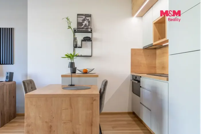 Prodej bytu 1+kk, Prostějov - Čechovice, Na Lukách, 32 m2