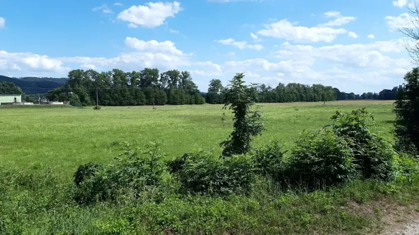 Prodej zahrady, Leština, 1099 m2