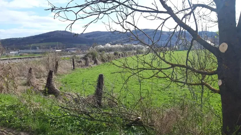 Prodej zahrady, Leština, 1099 m2
