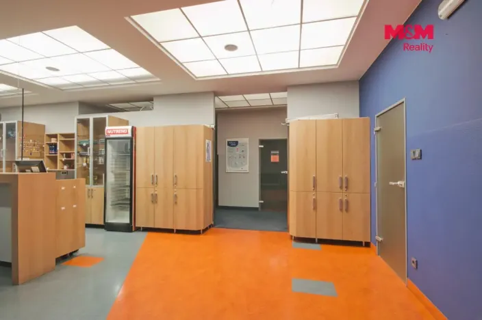 Pronájem obchodního prostoru, Rožnov pod Radhoštěm, Meziříčská, 320 m2