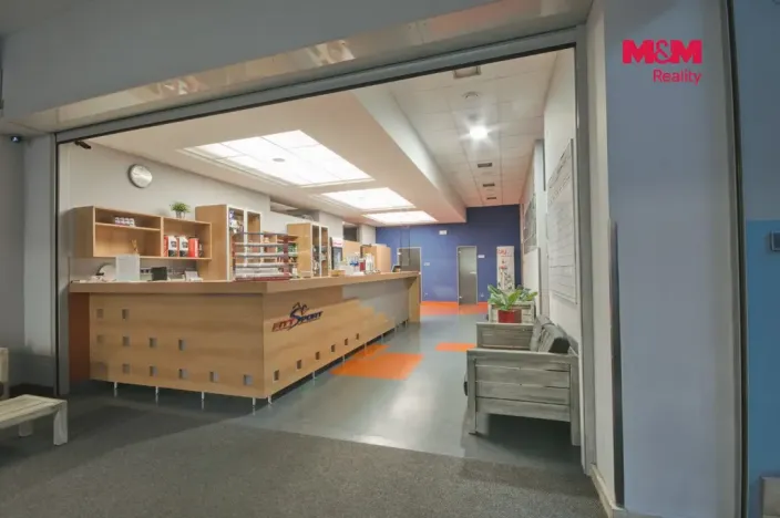 Pronájem obchodního prostoru, Rožnov pod Radhoštěm, Meziříčská, 320 m2