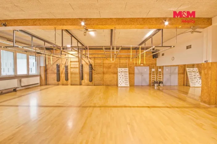 Pronájem obchodního prostoru, Rožnov pod Radhoštěm, Meziříčská, 320 m2